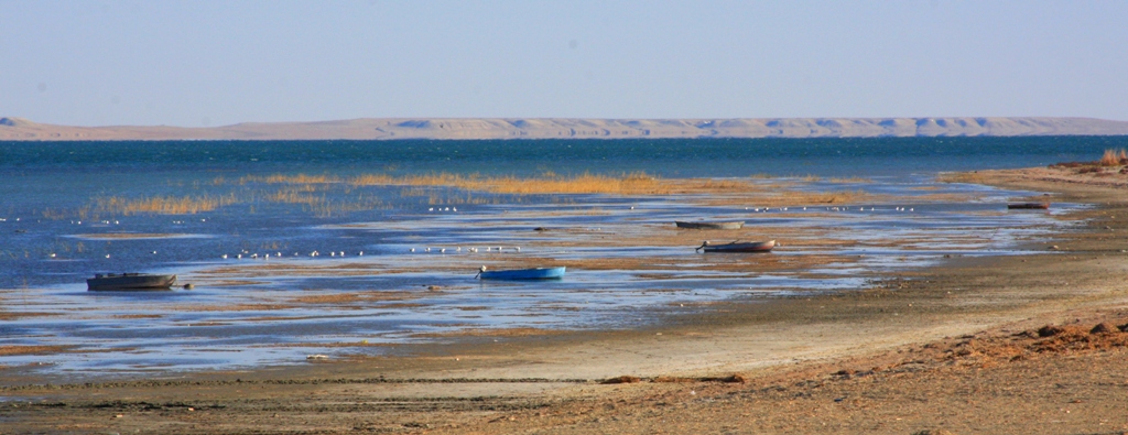 Lake Kombash. The Aral area. Kyzylorda of province.